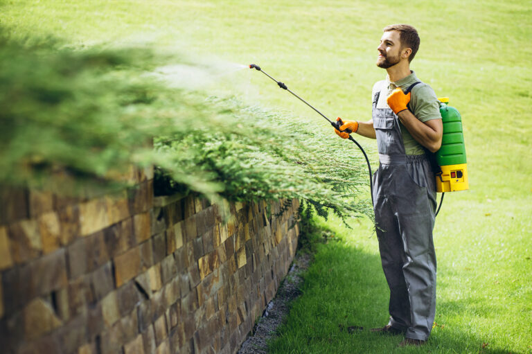 Services Green For Green Lawn Service